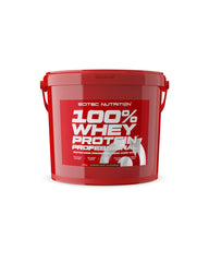 100% Whey Protein Professional